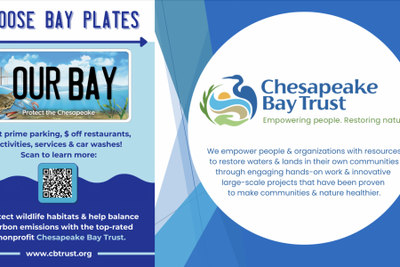 CBT BAY TAG INFORMATION