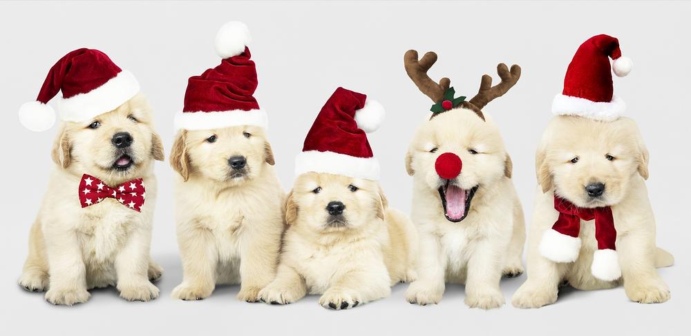 Happy Holidays!