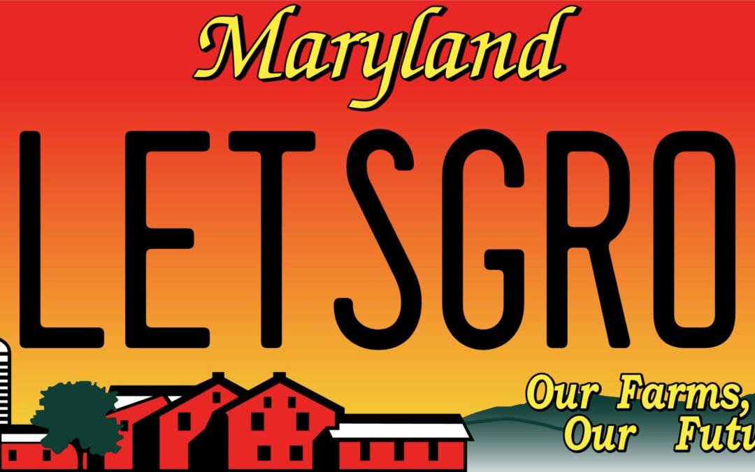 MVTA Member News- June 2024